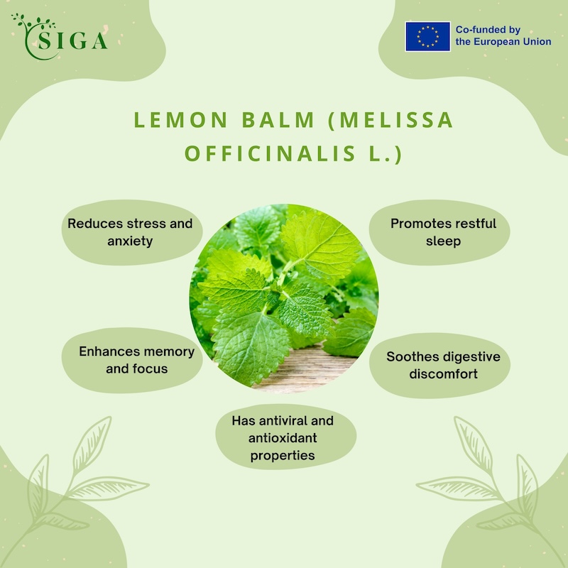 This image for Image Layouts addon