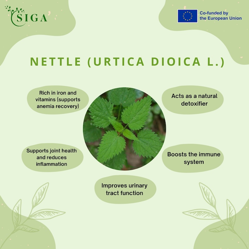 This image for Image Layouts addon