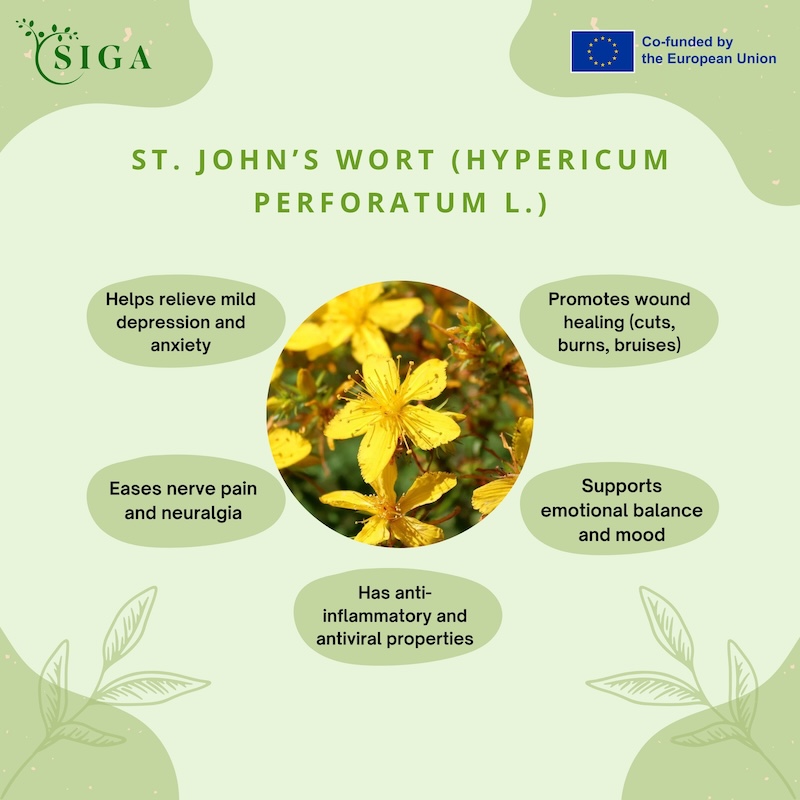 This image for Image Layouts addon