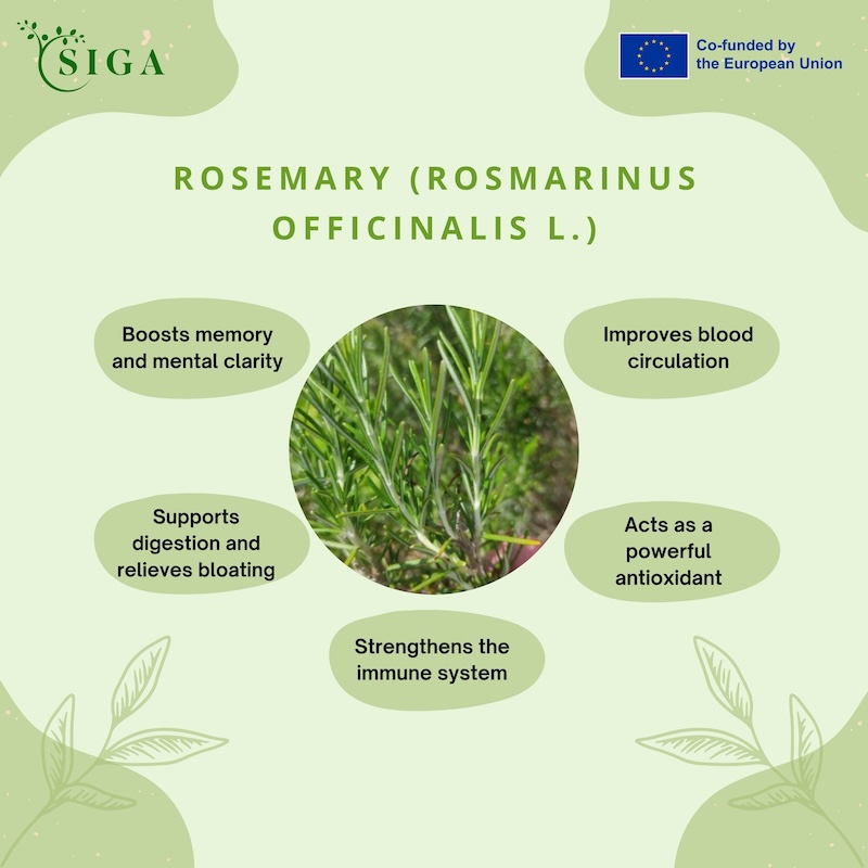 This image for Image Layouts addon