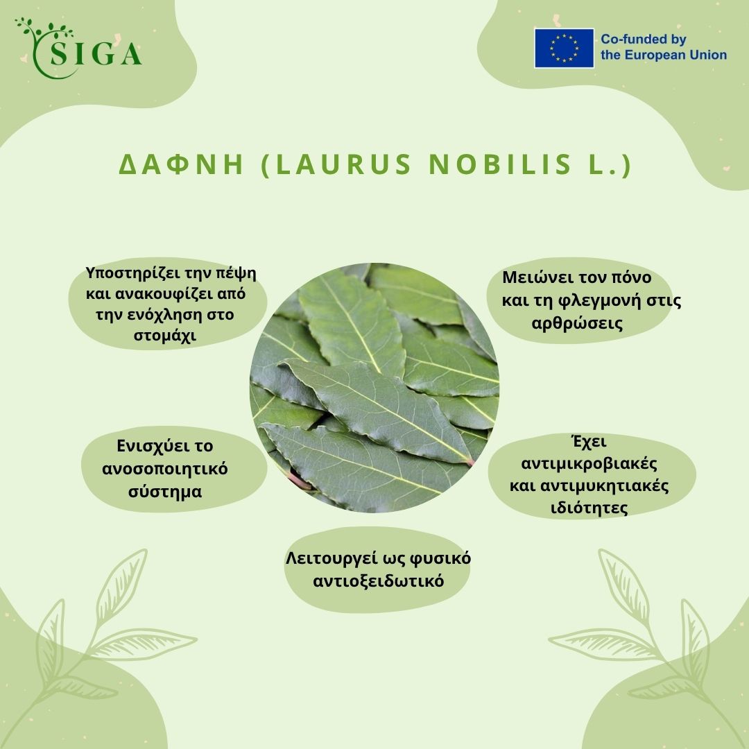 This image for Image Layouts addon