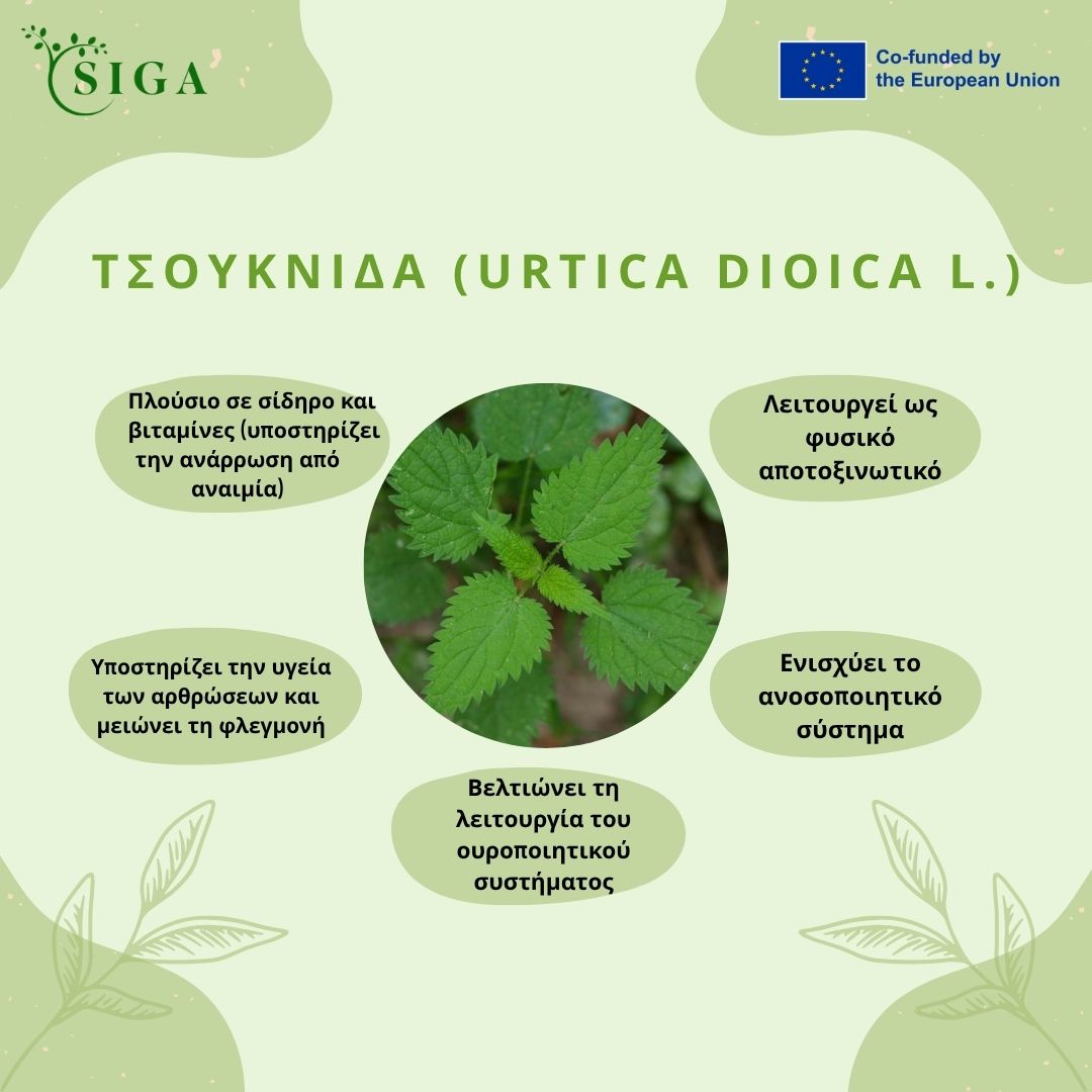 This image for Image Layouts addon