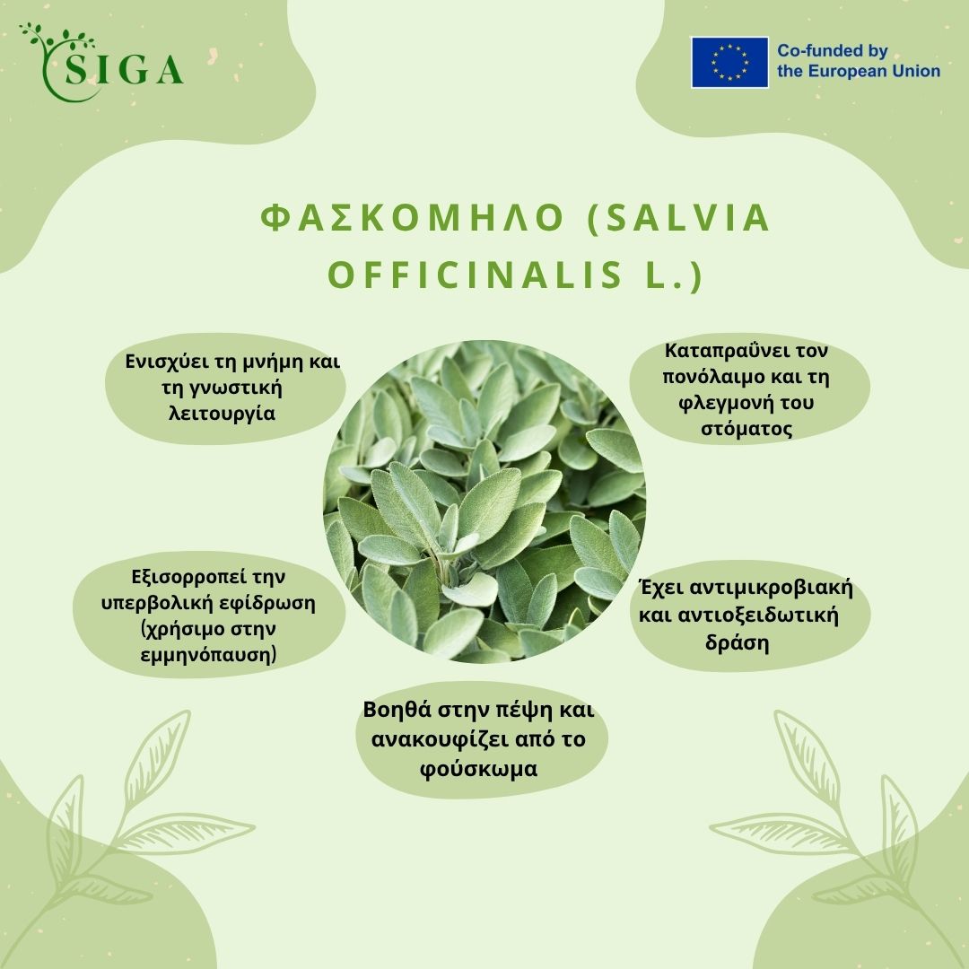 This image for Image Layouts addon