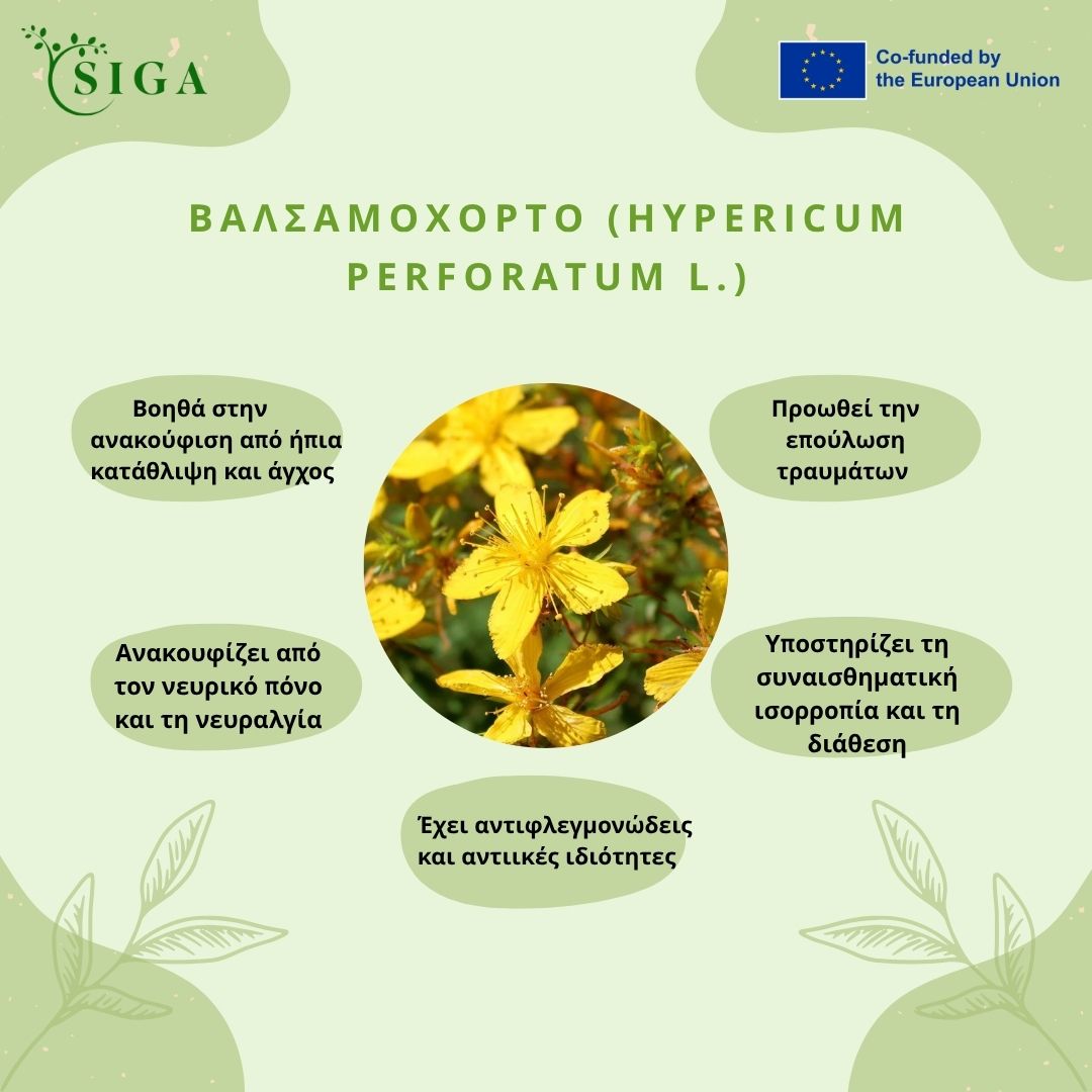 This image for Image Layouts addon