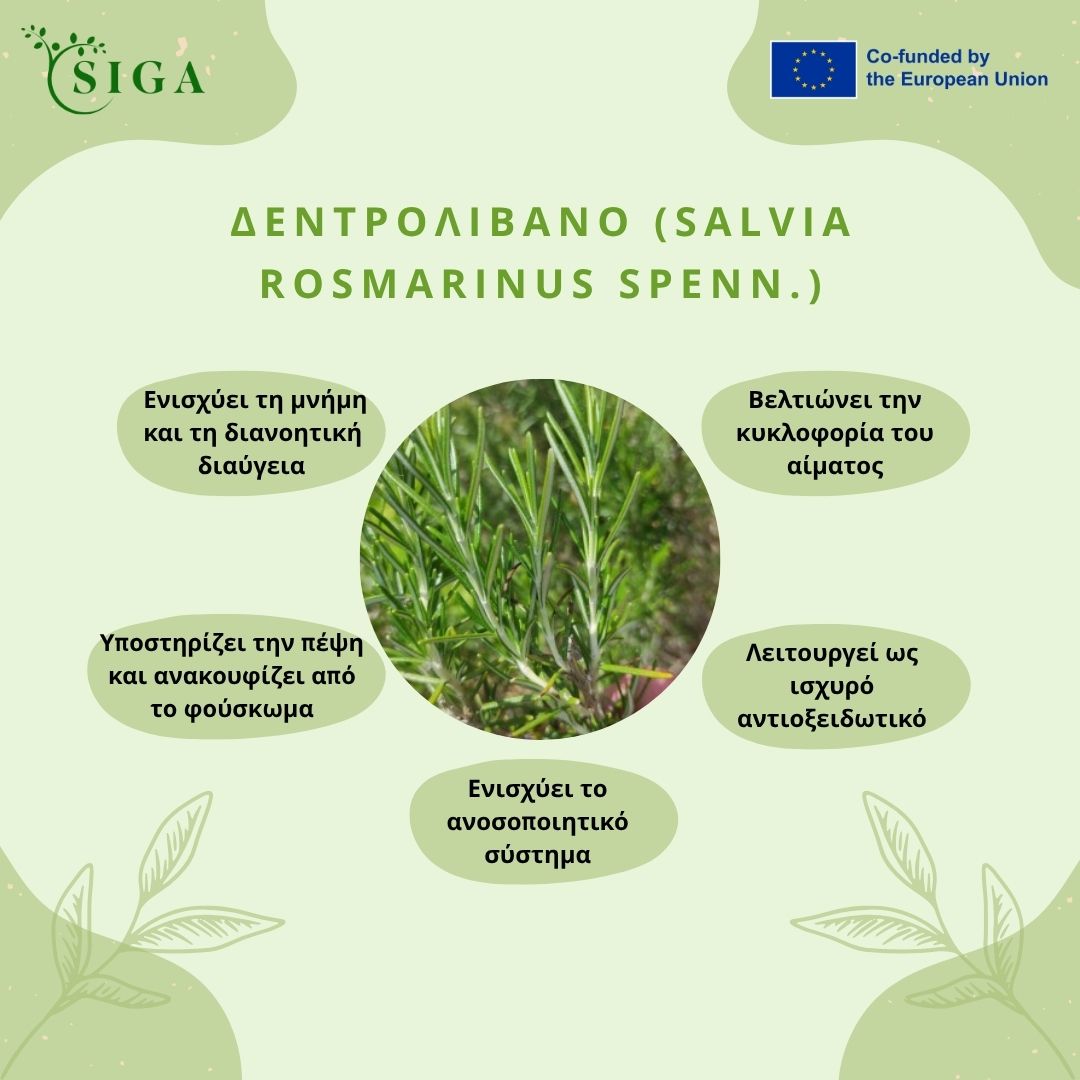 This image for Image Layouts addon