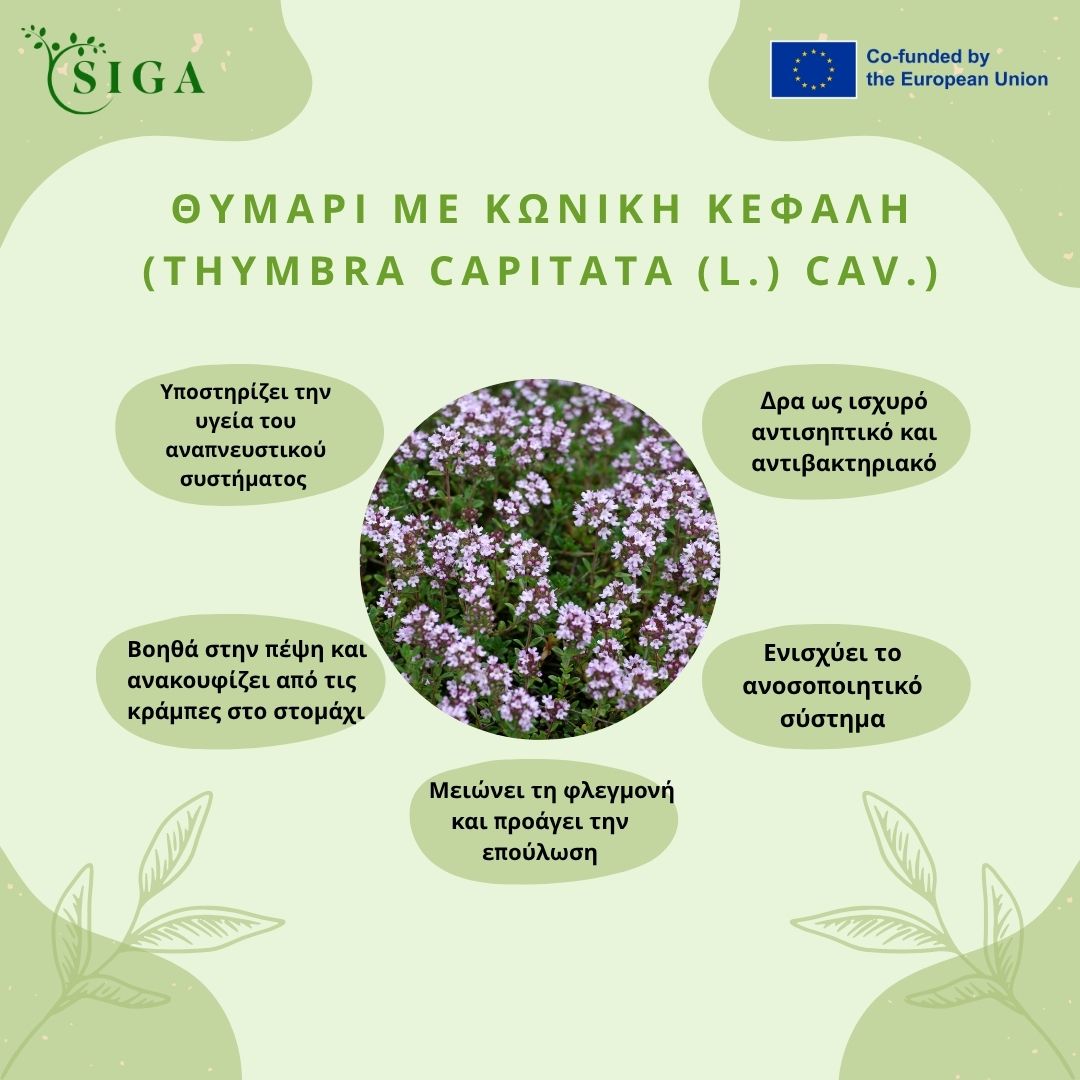 This image for Image Layouts addon