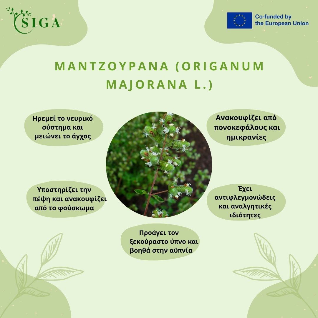 This image for Image Layouts addon