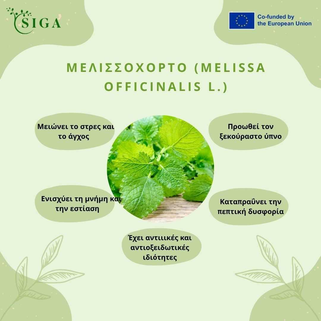 This image for Image Layouts addon