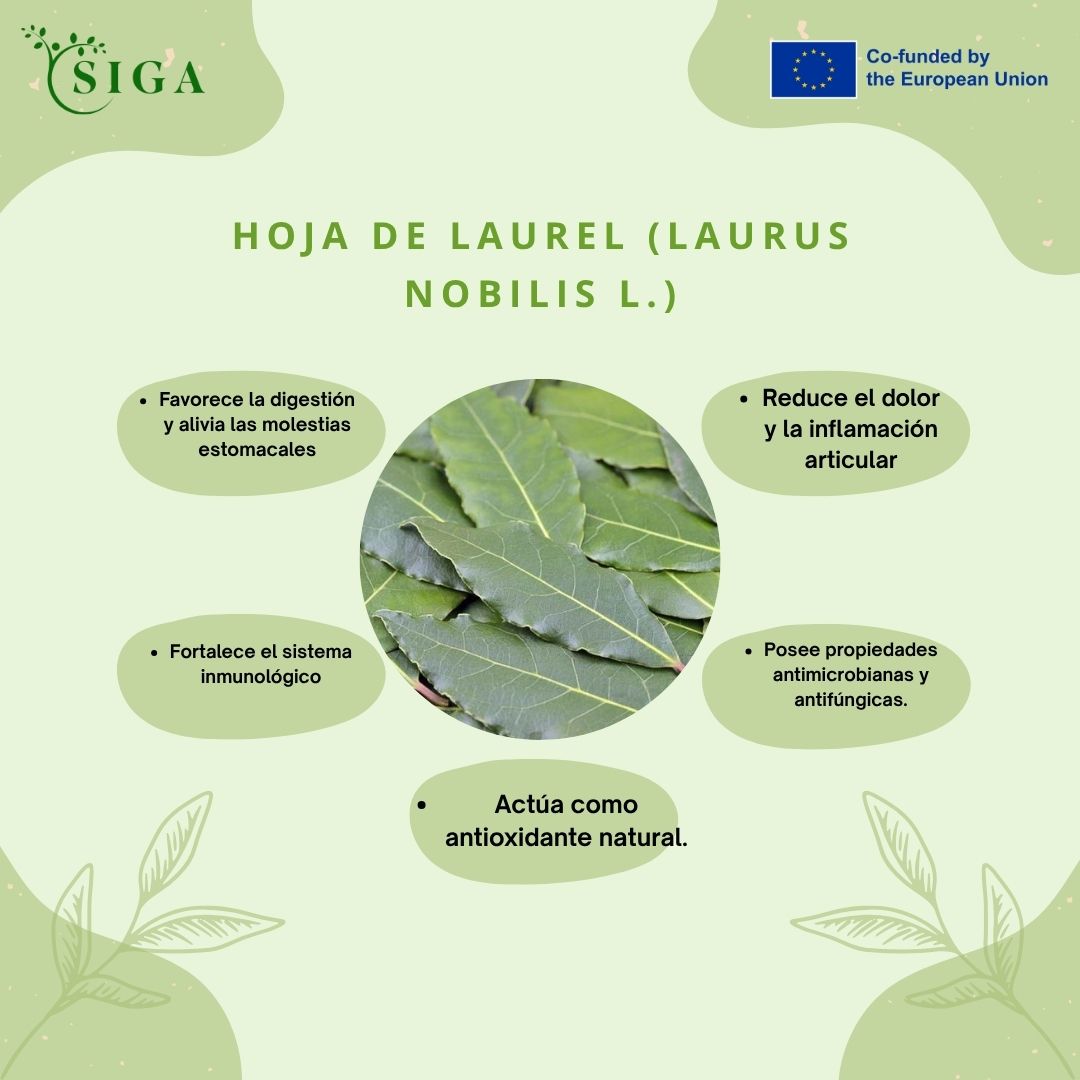 This image for Image Layouts addon