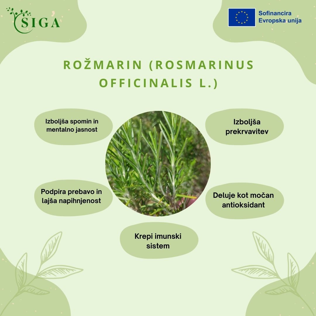 This image for Image Layouts addon