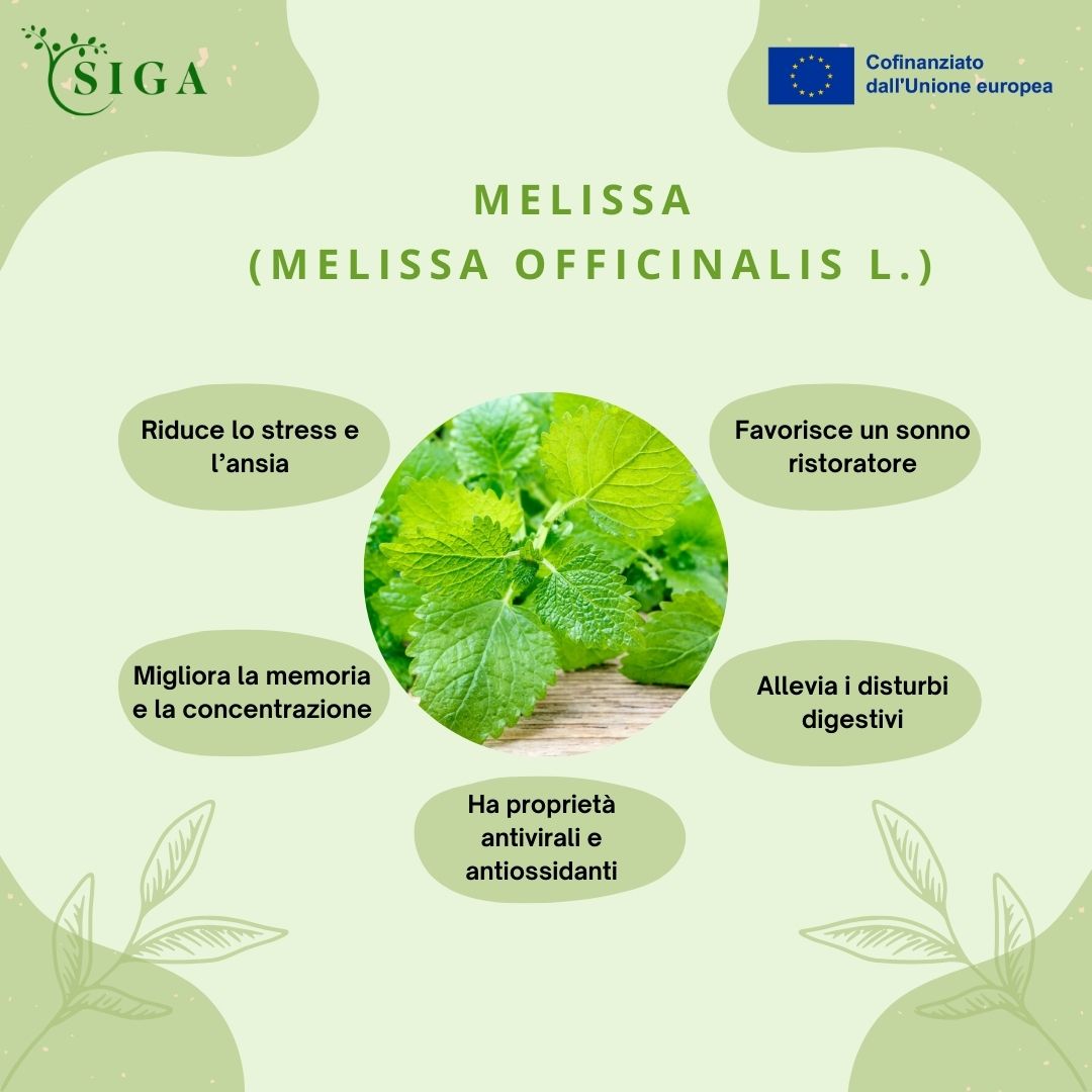 This image for Image Layouts addon