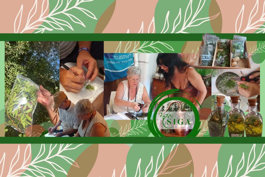 Exploring Nature’s Pharmacy: SIGA Pilot Program in Palma